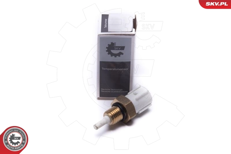 Sensor, intake air temperature